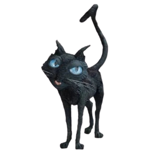 the cat